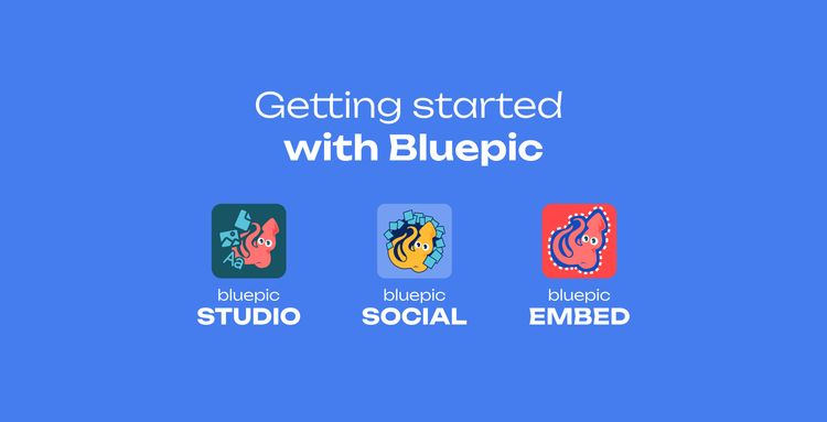 Step-by-step guide on getting Bluepic up and running in your team