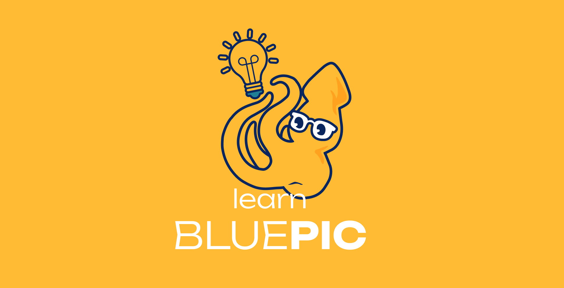 Getting Started with BLUEPIC Studio